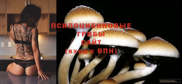 не бодяженный Коряжма