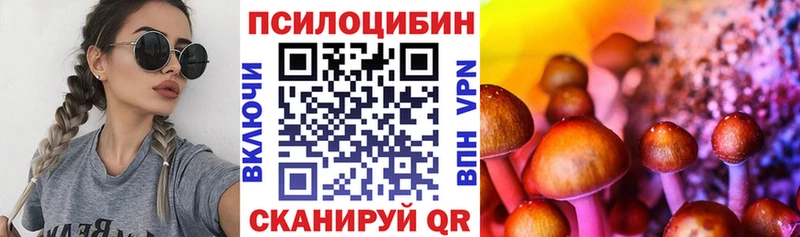 Купить закладки  Альметьевск  Псилоцибиновые грибы мицелий 